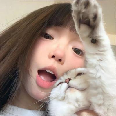 动物频道